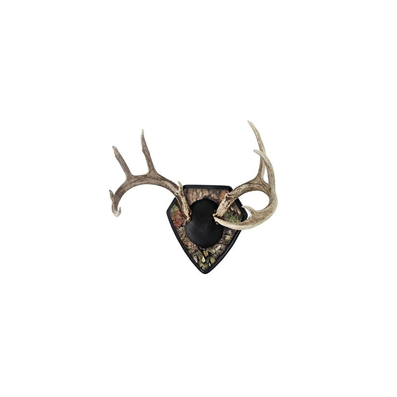 Allen Big Buck Trophy Mount Kit with Skull Cover and Engravable Plate