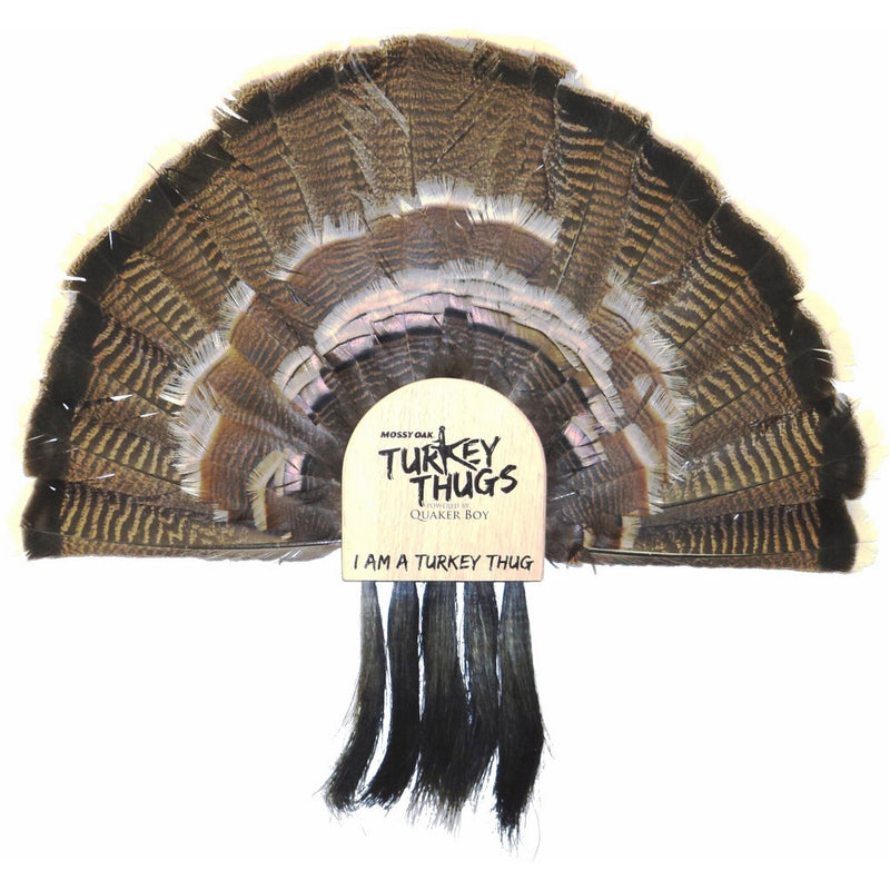 Quaker Boy Turkey Thugs Fan Mount 5 Beard Holder