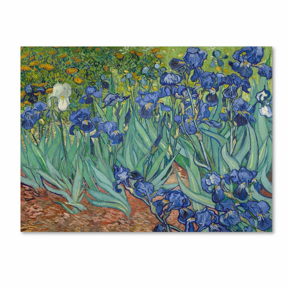 Trademark Fine Art Irises 1889 by Vincent van Gogh, 26x32-Inch Canvas Wall Art