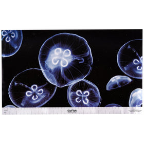 GloFish 19025 Aquarium Background, Jellyfish/Anemone