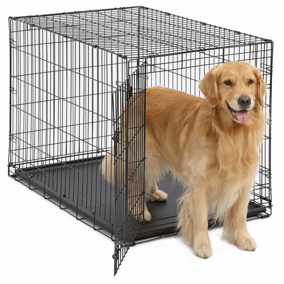 Large Dog Crate | MidWest iCrate Folding Metal Dog Crate w/Divider Panel, Floor Protecting Feet & Leak-Proof Dog Tray | 42L x 30W x 28H Inches, Large Dog Breed, Black