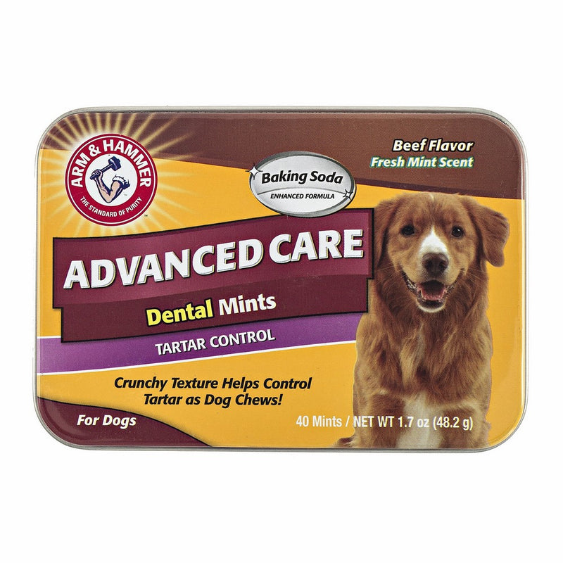 Arm & Hammer Dog Dental Care Tartar Control Dental Mints for Dogs | Reduces Plaque & Tartar Buildup Without Brushing, 1.7 ounces (40 Pcs), Beef Flavor