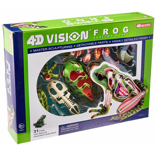 4D Vision Frog Anatomy Model