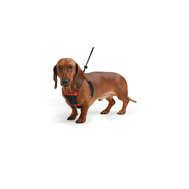 Sporn Dog Harness - No pull and No choke humane Design, Non Pulling Pet Harness with Mesh vest, Easy Step-in Adjustable Mesh Harness for control, Red, Large/XL by