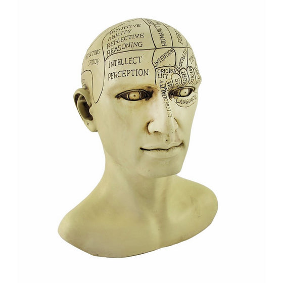 Creepy Cast Resin Phrenology Head Victorian Steampunk