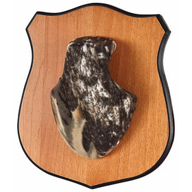 Allen Heirloom Antler Mounting Kit for Deer or Pronghorn