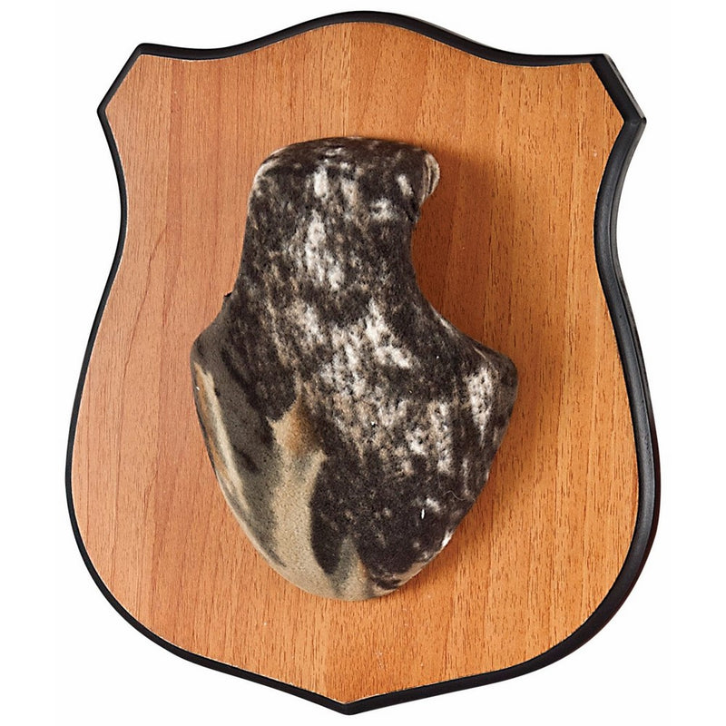 Allen Heirloom Antler Mounting Kit for Deer or Pronghorn