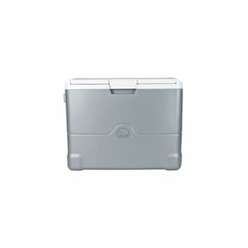 Igloo 00040374 Iceless Thermoelectric Cooler, 40 quart, Silver