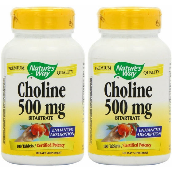 Nature's WAY Choline 500mg 100 Tabs X 2