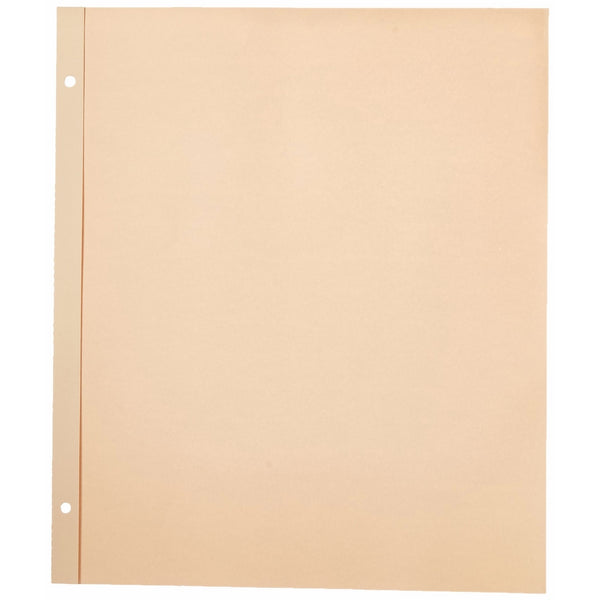 Pioneer 11-Inch-by-14-Inch, Postbound Refill Pages, 25 Per Package