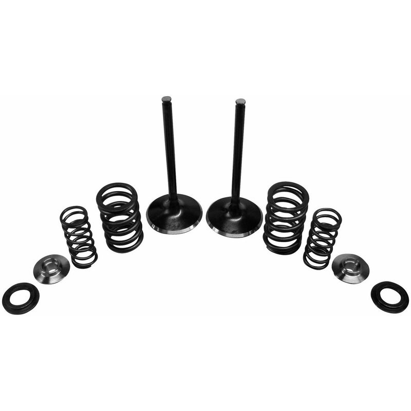 Kibblewhite Precision Intake Only Stainless Conversion Valve/Spring Kit 30-31200