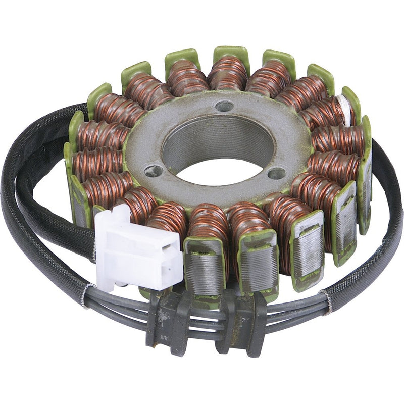 Rick's Motorsport Electric Stator