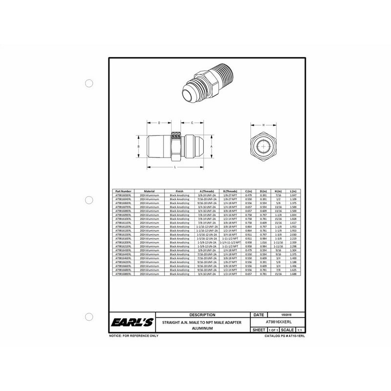 Earl's AT981606ERL Straight Male AN -6 to 1/4 NPT