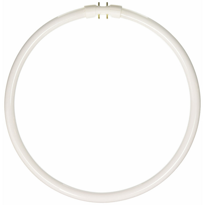 ProLume FC40T5/841 109086 FC40 T5 12 Inch Circline 4100K