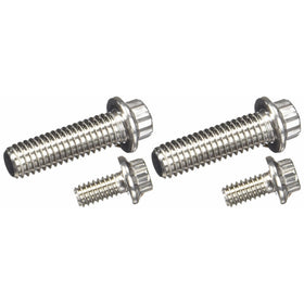 ARP 430-1601 Stainless 300 12-Point Fuel Pump Bolt Kit