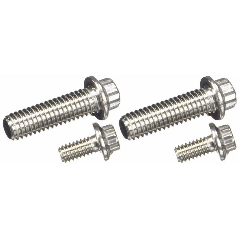 ARP 430-1601 Stainless 300 12-Point Fuel Pump Bolt Kit