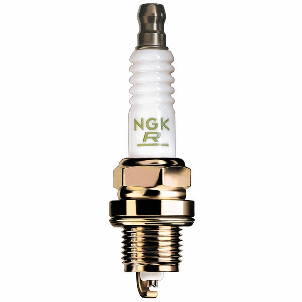 NGK (5531) DPR6EA-9 Standard Spark Plug, Pack of 1