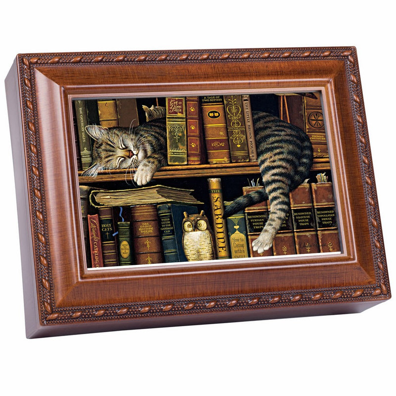 Cat Sleeping in library Wooden Music Box That's What Friends are For MB249