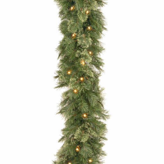 National Tree 9 Foot by 10 Inch Wispy Willow Garland with 50 Clear Lights (WO1-9ALO-1)