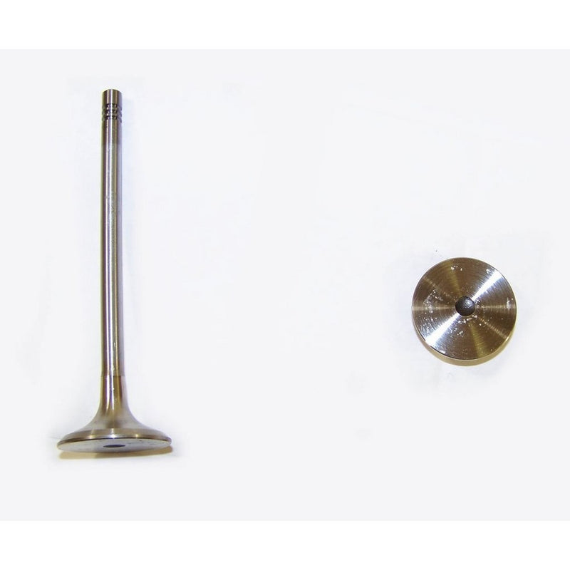 DNJ Engine Components EV800 Exhaust Valve