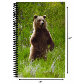 The Superior Check and Debit Card Register - Bear 5.5" x 8.5"
