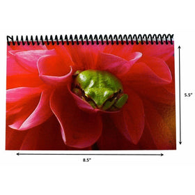 The Superior Check and Debit Card Register WIDE edition (Froggy) 8.5" x 5.5"