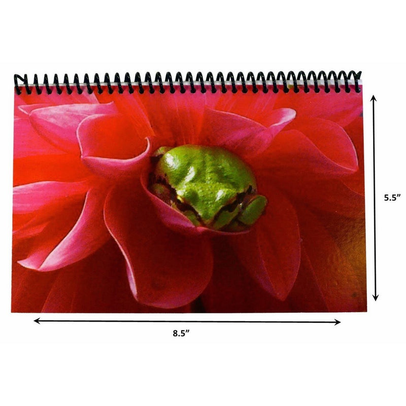 The Superior Check and Debit Card Register WIDE edition (Froggy) 8.5" x 5.5"