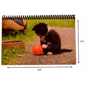 The Superior Check and Debit Card Register WIDE edition (Kitten with Ball)