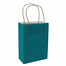 Turquoise Medium Kraft Paper Bags (12 Pack) Craft