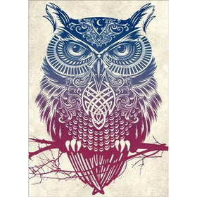 DIY 5D Diamond Painting by Number Kit, Colorful Owl Crystal Diamond Embroidery Cross Stitch Arts Craft Canvas for Wall Decor