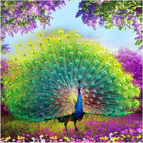 DIY 5D Diamond Painting by Number Kit, Proud Peacock Crystal Rhinestone Embroidery Cross Stitch Ornaments Canvas Wall Decor