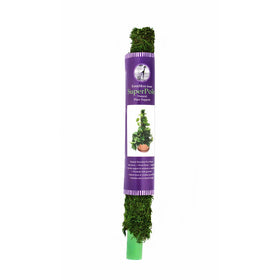 Super Moss (22225) Moss Pole/Plant Stake, Fresh Green, 2-2.5ft.
