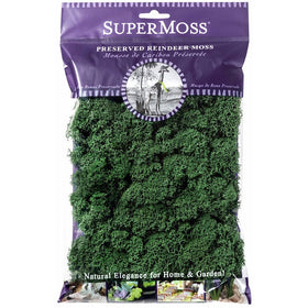 Super Moss (21703) Reindeer Moss Preserved, Forest Green, 2oz