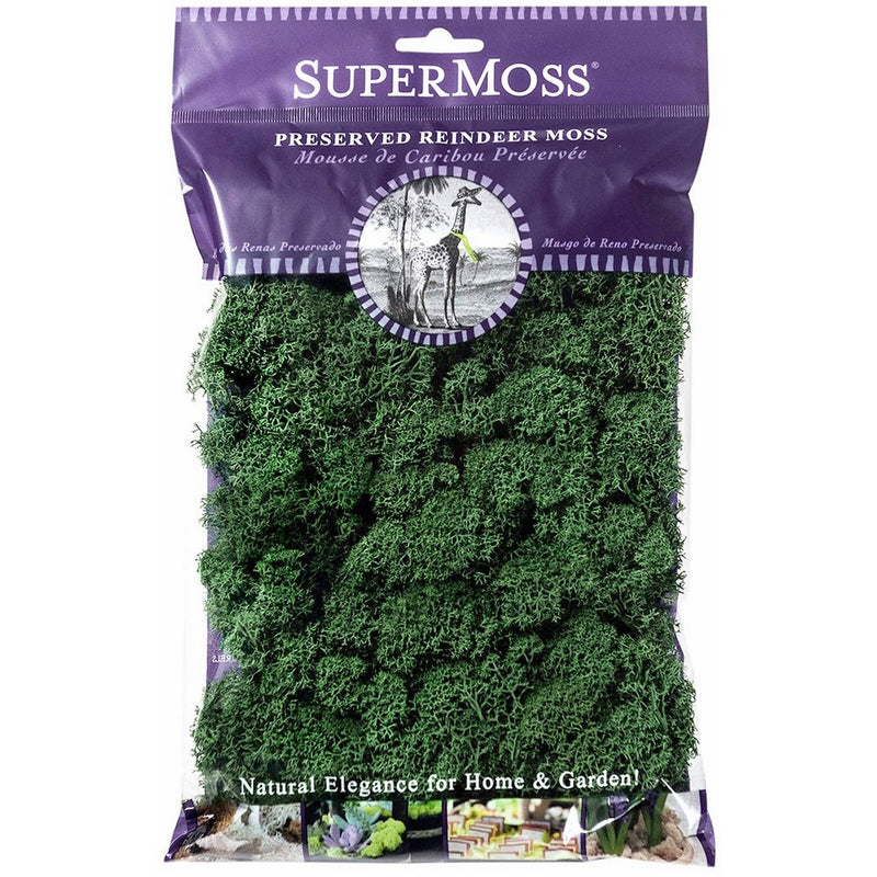 Super Moss (21703) Reindeer Moss Preserved, Forest Green, 2oz