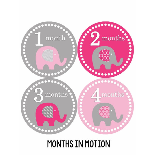 Months in Motion 246 Monthly Baby Stickers Baby Girl Elephants Months 1-12 Milestone Sticker in pink