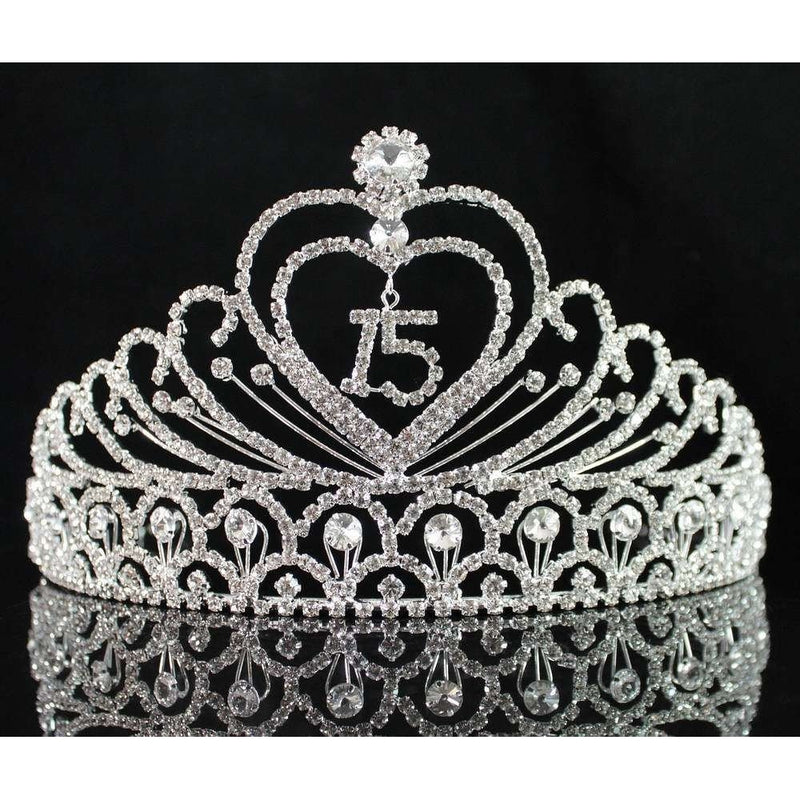 JANEFASHIONS Quinceanera 15 Fifthteen Birthday Rhiestone Tiara Crown with Hair Combs T1756