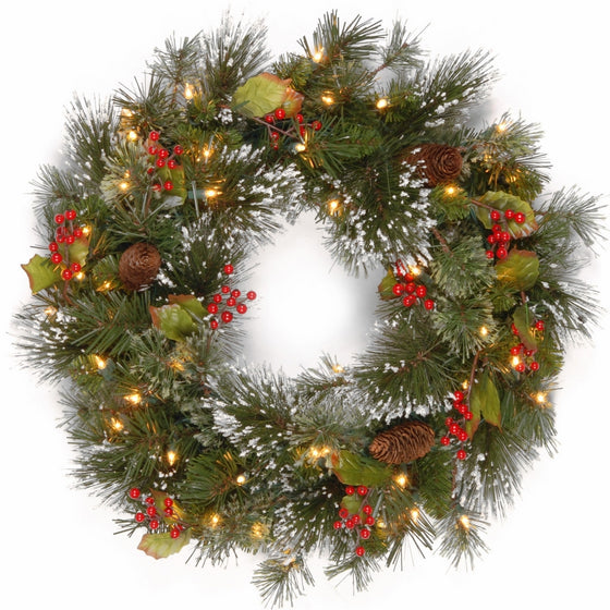 National Tree 24 Inch Wintry Pine Wreath with Clear Lights (WP1-300-24W-1)
