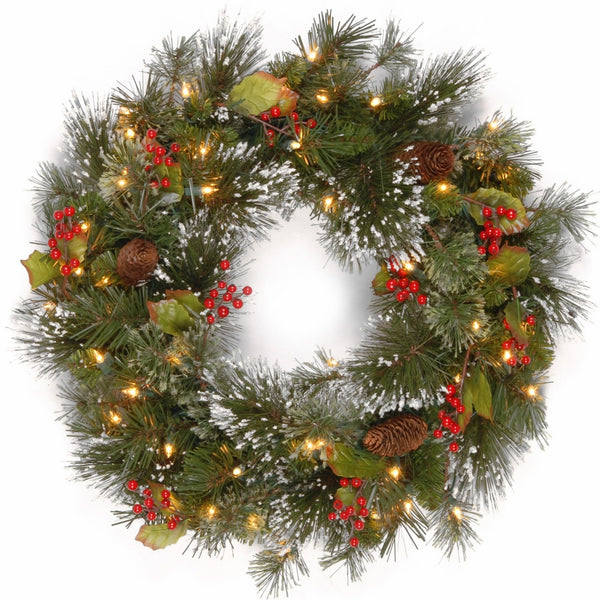 National Tree 24 Inch Wintry Pine Wreath with Clear Lights (WP1-300-24W-1)