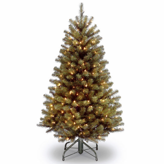 National Tree 4.5 Foot North Valley Spruce Tree with 200 Clear Lights, Hinged (NRV7-300-45)
