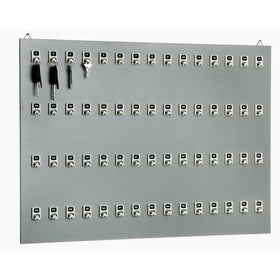 KEYSTAND # 60PGE, 60 Extra Space Numbered Hooks for Car Keys with Remote Control (60 Sets of Tag & Ring Included)