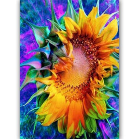 Sweethomedeco DIY 5D Diamond Painting by Number Kits, Crystal Rhinestone Diamond Embroidery Paintings Cross Stitch, 12 x 15.7 inch,Common Level Full Drill