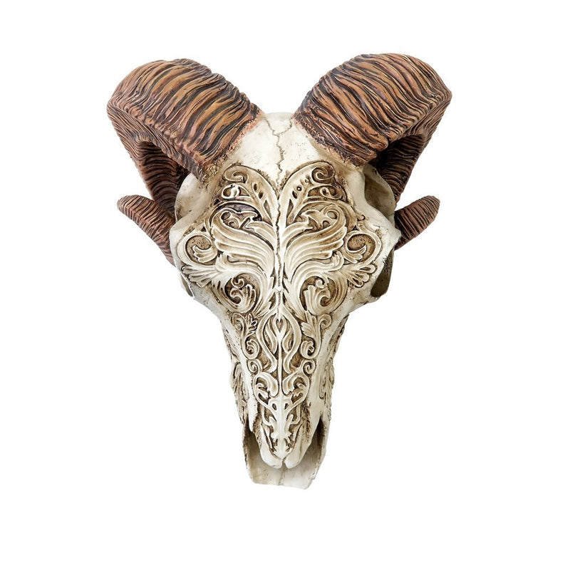 Alchemy Gothic Scrimshaw Ram Skull