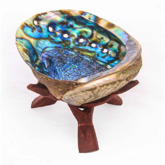 Alternative Imagination 5" Hand Selected Premium Abalone Shell with 6" Wooden Cobra Stand