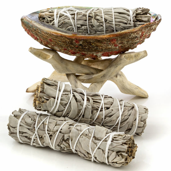 Alternative Imagination Premium Abalone Shell with Natural Wooden Tripod Stand and 3 California White Sage Smudge Sticks (5-6" Shell)