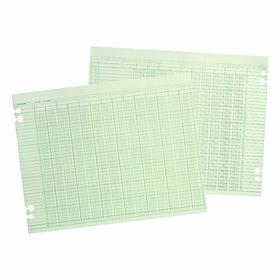 Wilson Jones G1020 Accounting Sheets, 20 Column, 9-1/4 x 11-7/8, Green (Pack of 100 Loose Sheets)