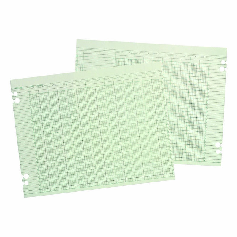Wilson Jones G1020 Accounting Sheets, 20 Column, 9-1/4 x 11-7/8, Green (Pack of 100 Loose Sheets)