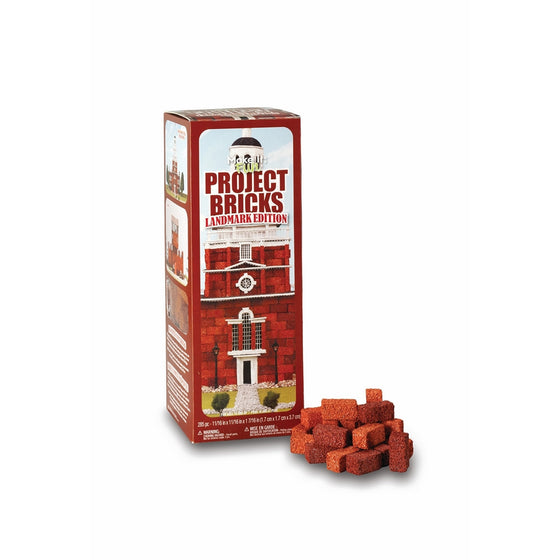 FloraCraft Landmark Edition Project Red Foam Bricks