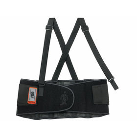 ProFlex 100Economy Back Support, Large