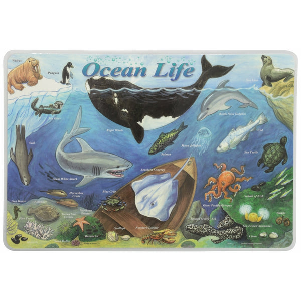 Painless Learning Ocean Life Placemat