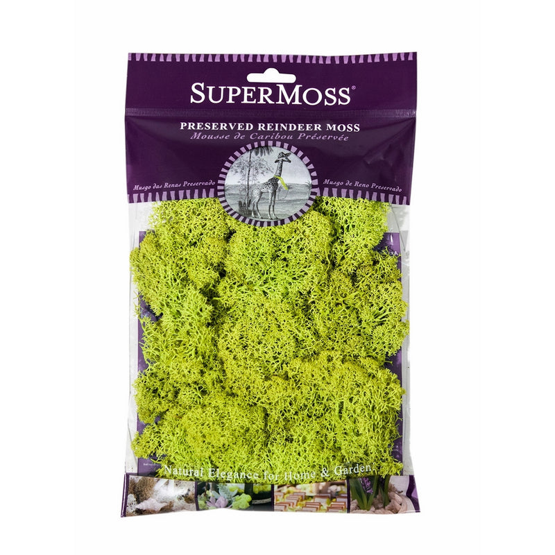 Super Moss (21708) Reindeer Moss Preserved, Chartreuse, 2oz